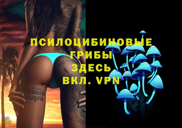 амф Переславль-Залесский