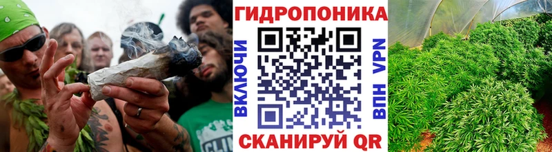 Конопля ГИДРОПОН  Абдулино 
